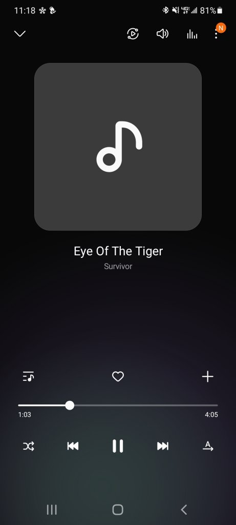 Screenshot_20211014-231858_Samsung Music.jpg