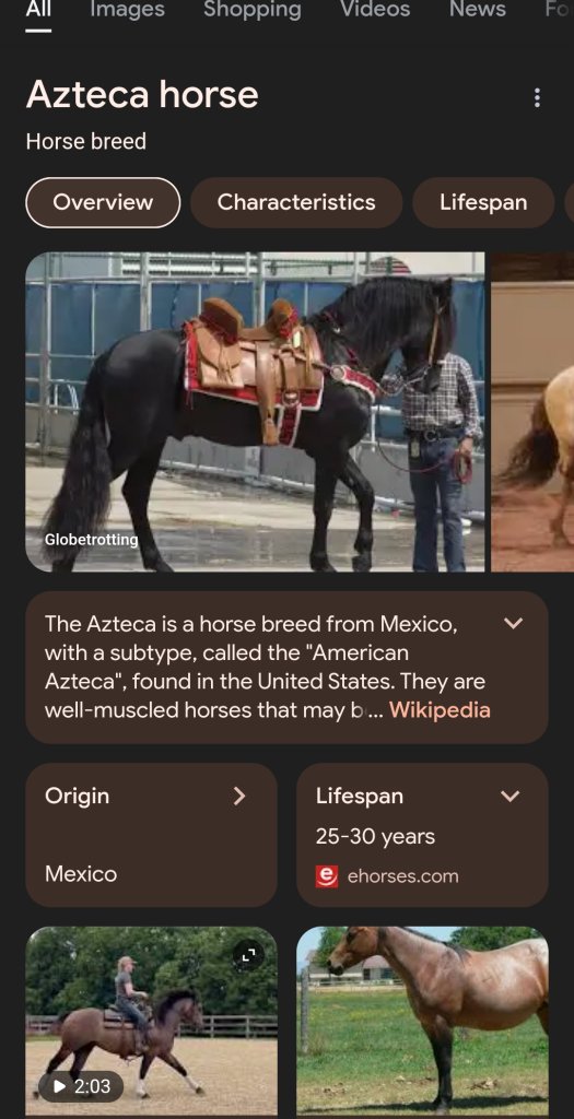 Screenshot_20240618_055657_Chrome.jpg