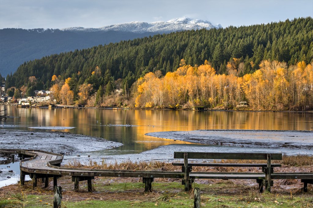 shoreline-trail-port-moody-55925.jpg