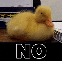 smal.gif