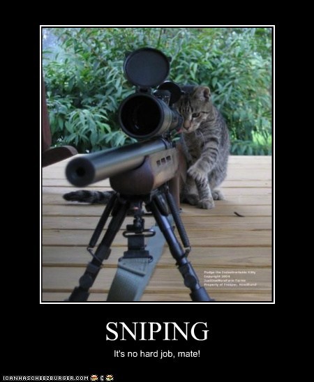 sniping.jpeg