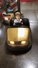 SoggyRadiantAmericanwarmblood-max-1mb.gif