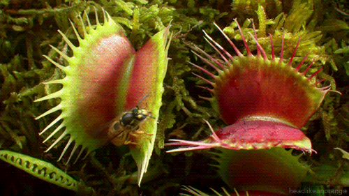 source (1).gif
