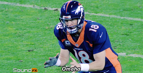source (1).gif