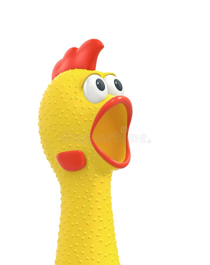 surprisedchicken.jpg