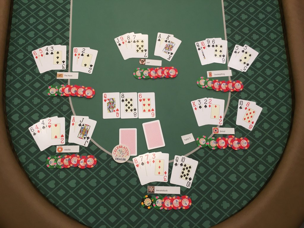 T3FLOP (1).JPG