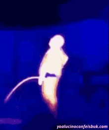 tenor (7).gif