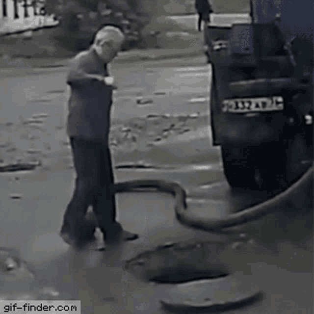 tenor.gif