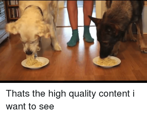 thats-the-high-quality-content-i-want-to-see-5257808.png