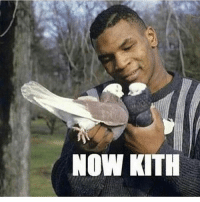 thumb_now-kith-12179255.png