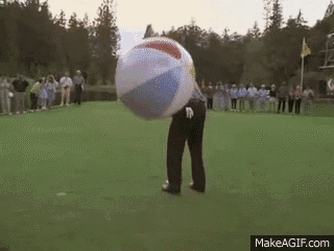 ThunderousIllinformedEmu-small.gif