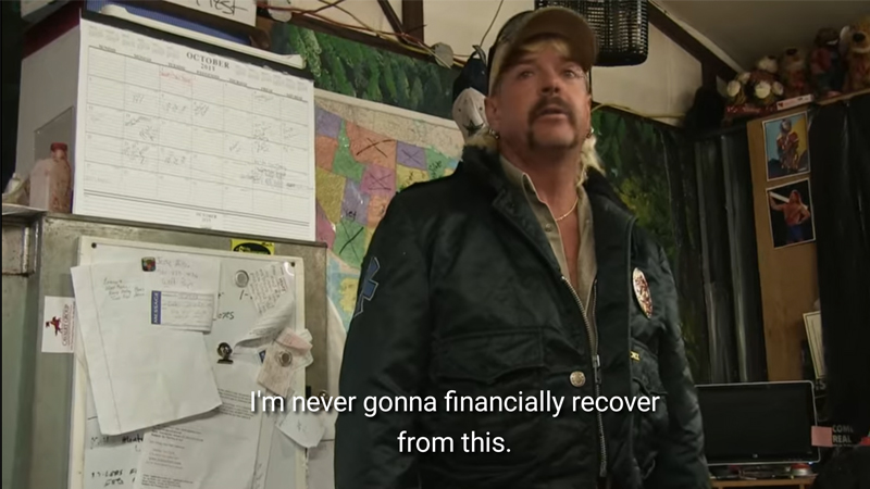 tigerkingfinance.jpg