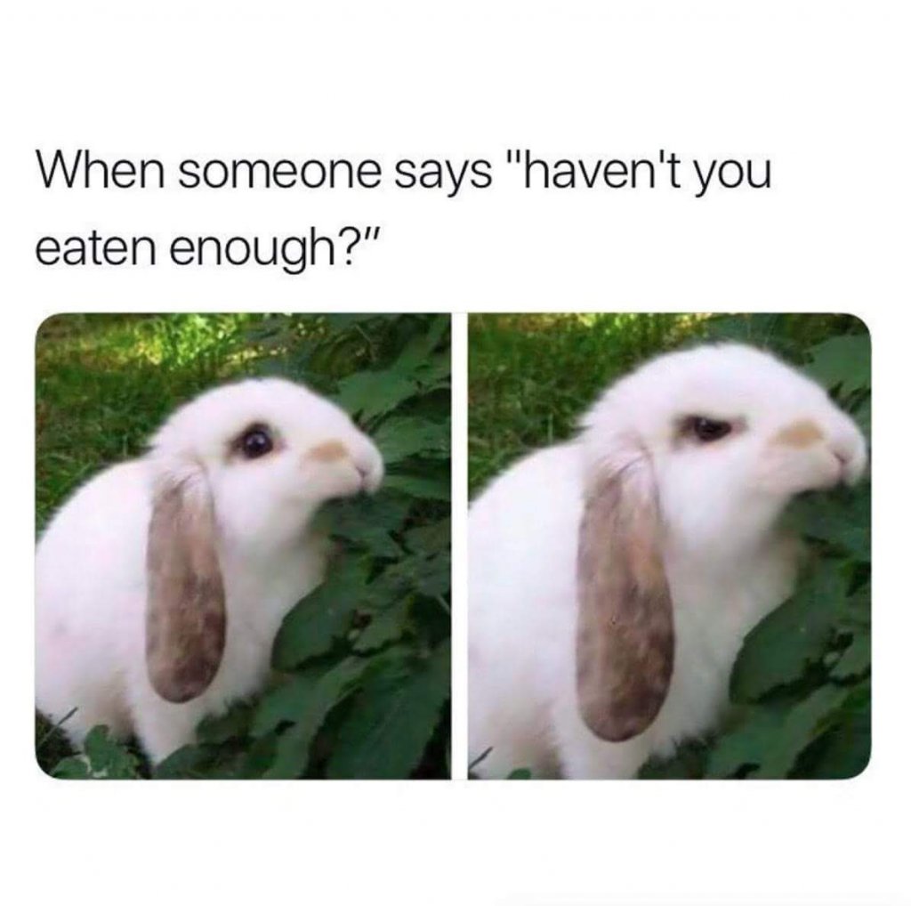 tkdbwq6tkj111.jpg