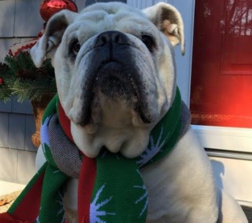 Truman Holiday.png