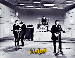 tumblr_m05zo0B2qK1qftecho1_250.gif