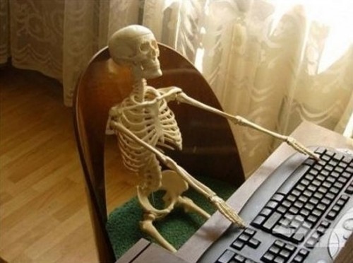 Typing-Skeleton-Meme.jpg