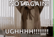 ugh-tommy-boy.gif