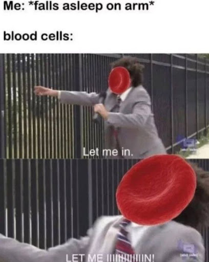 unnamed.jpg