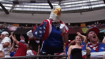 usa.gif