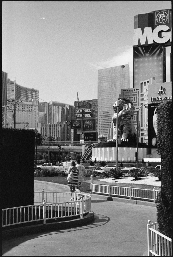 vegas-1.webp