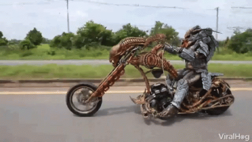 viralhog-predator.gif
