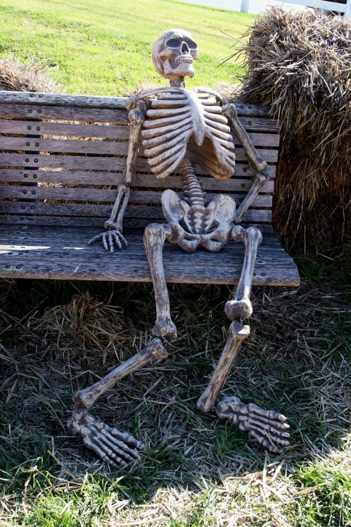 Waiting-Skeleton-Meme-Funny-Image-Photo-Joke-12.jpg