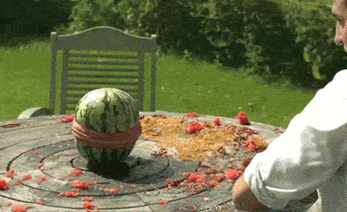 watermelon explodes.gif