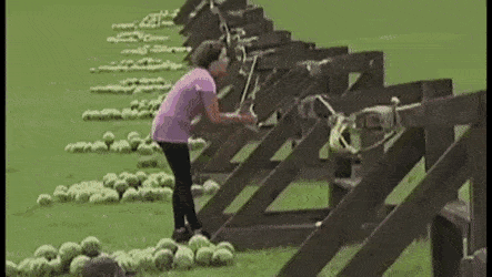 WelldocumentedPleasedLarva-size_restricted.gif