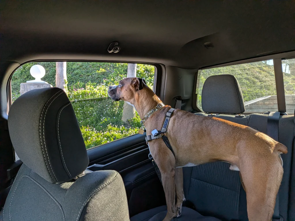 Winston-Truck.webp