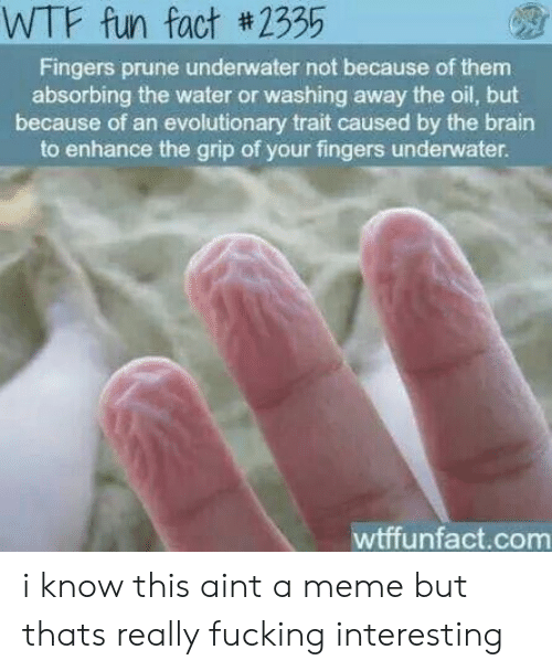 wtf-fun-fact-2335-fingers-prune-underwater-not-because-of-44420342.png