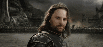 YOLO Lord of the Rings.gif