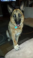 my_gsd.jpg