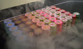 DSCN4956.jpg