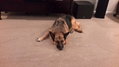 20140923_133248.jpg