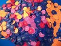 100_0081.jpg