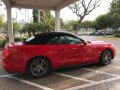 Mustang.jpg
