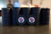 Flamingo 25ct-2.jpg