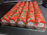 PXL_20230117_171752683.jpg