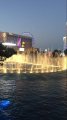 19510538_10207419609083190_752711891667499391_n.jpg