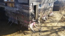 20170406_100522.jpg