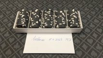 PXL_20230407_083022123.jpg PXL_20230407_083022123.jpg