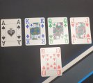 20230405_091527.jpg