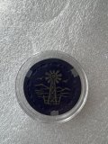 IMG_2241.jpeg