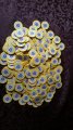20170825_114749.jpg 20170825_114749.jpg