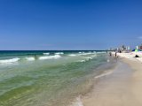 IMG_4271.jpeg