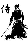 samurai palace small.jpg