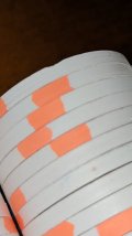 PXL_20230808_172944529.jpg