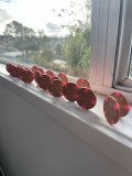 IMG_0072.jpeg