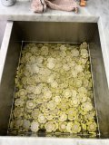 IMG_1096.jpeg