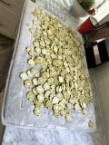 IMG_1097.jpeg